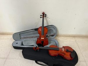 violins IVC